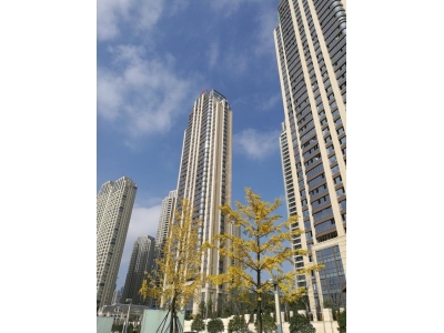 長(zhǎng)沙金茂府二期豪宅
